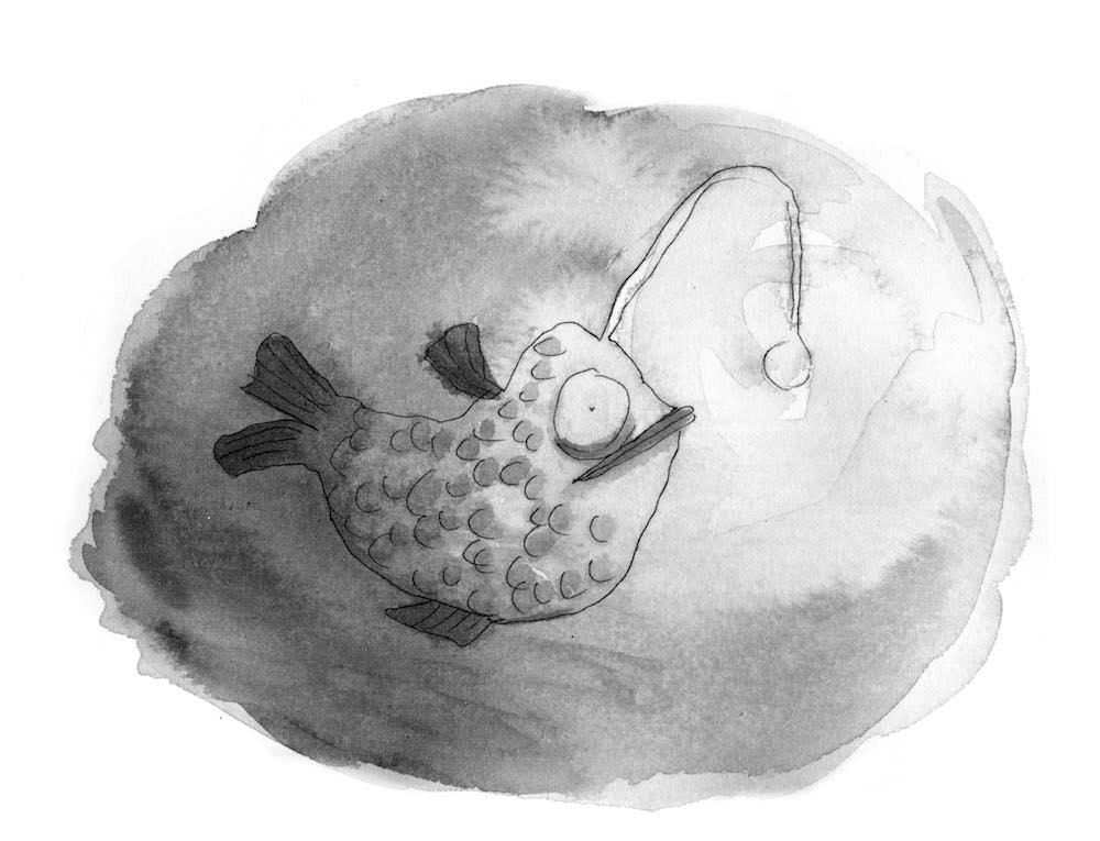 Lantern fish illustration
